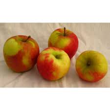 pommes pommes