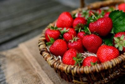 fraises