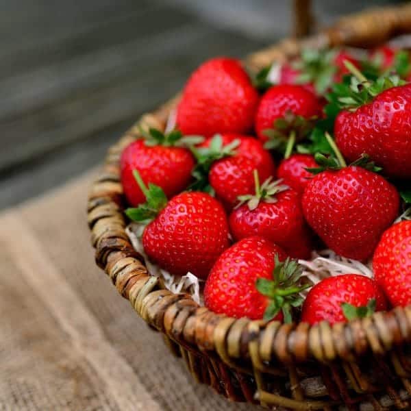 fraises fraises