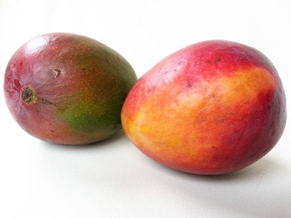 mangue