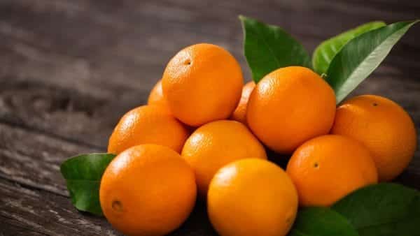 orange orange