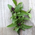 basilic thai