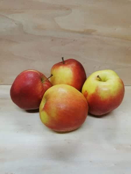pomme jonagold