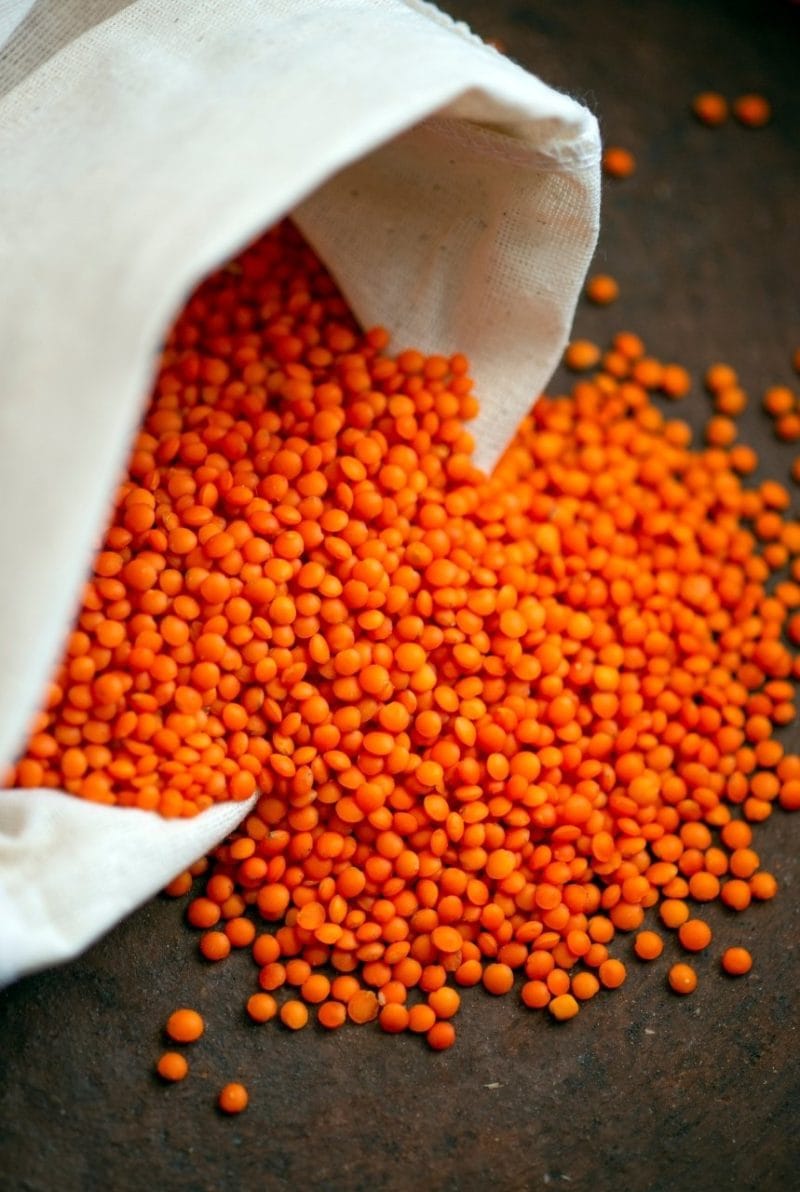 lentilles corail lentilles corail