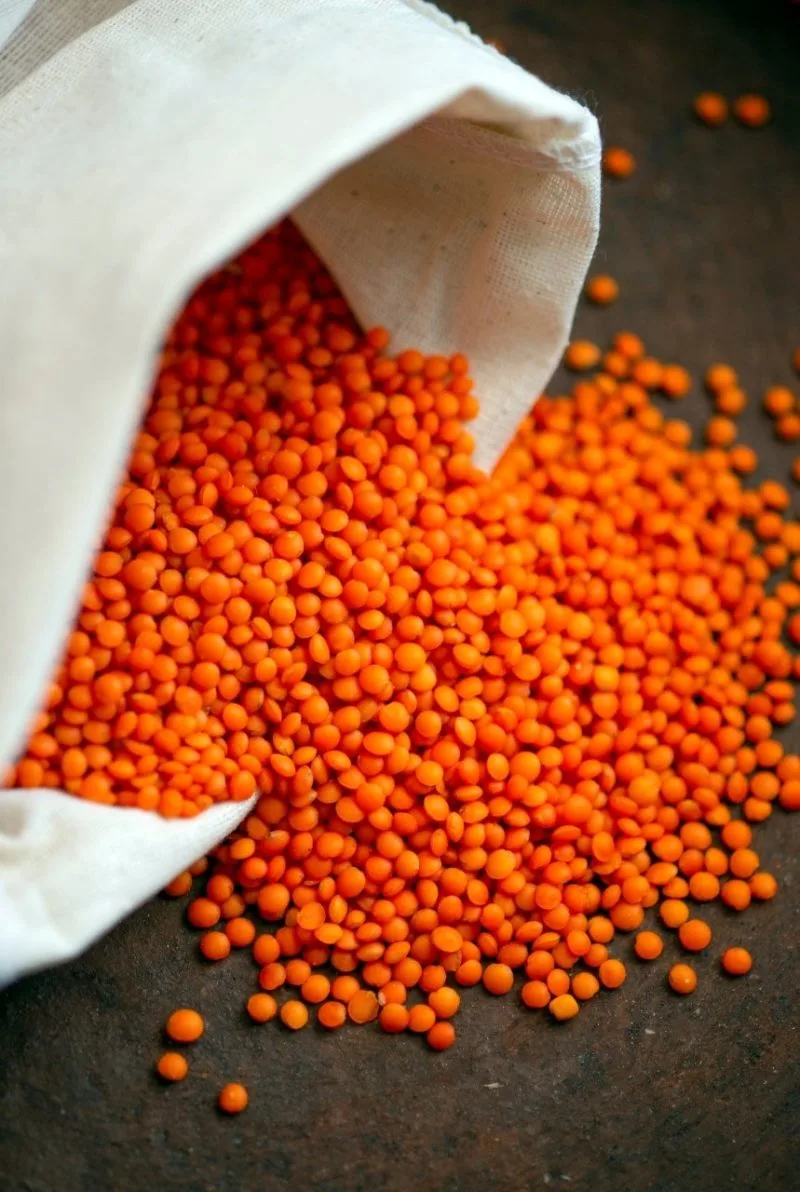 lentilles corail lentilles corail
