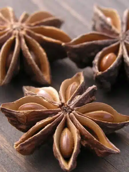 badiane badiane