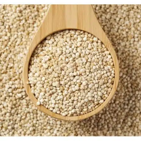 le quinoa le quinoa