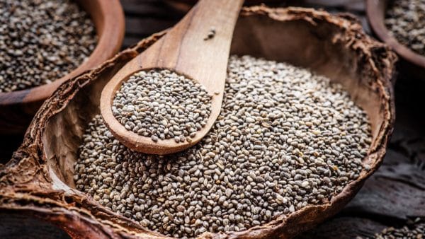 les graines de chia les graines de chia