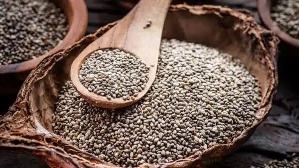 les graines de chia