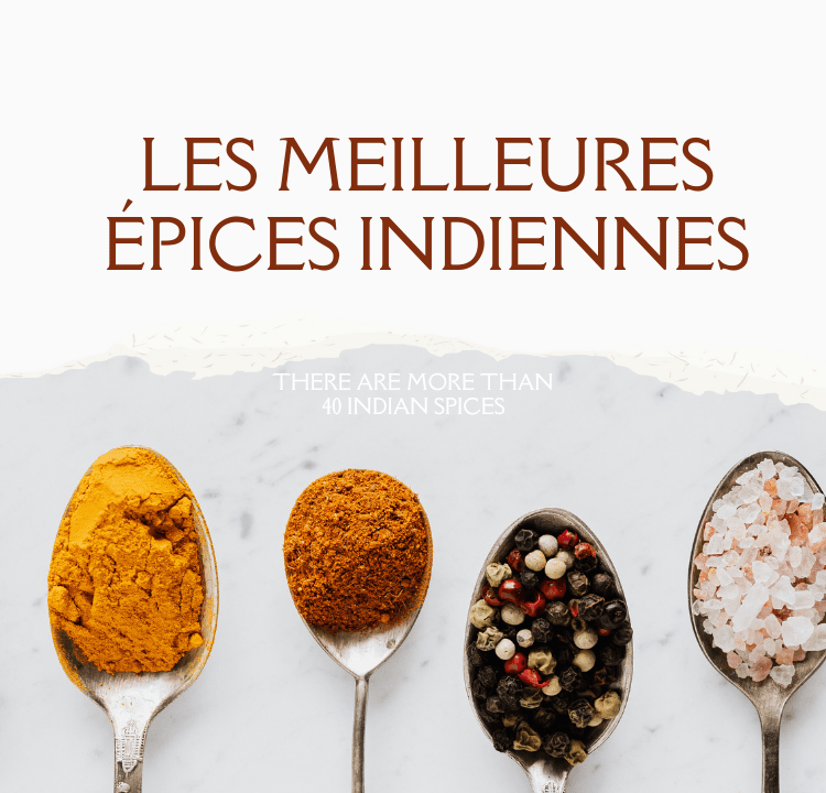 les meilleures épices indiennes