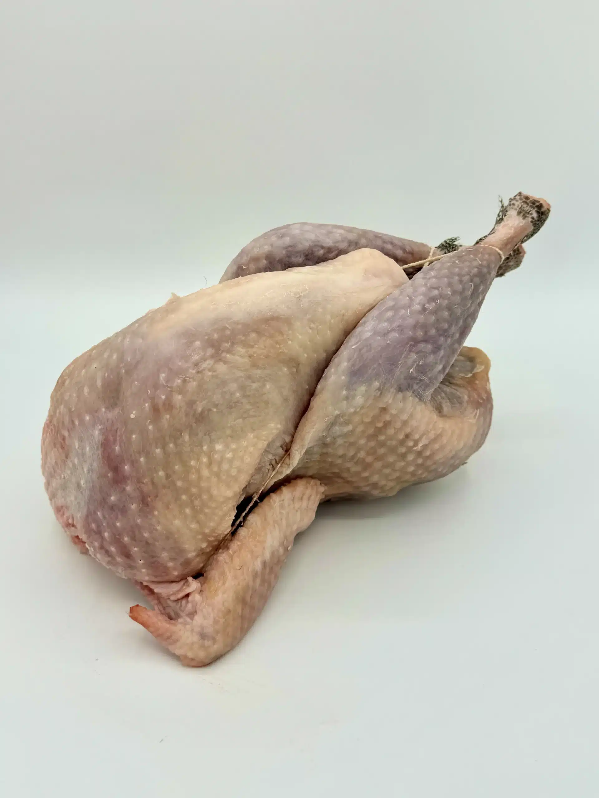 Pintade Pintade