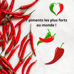 7 piments les plus forts au monde