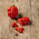 carolina pepper