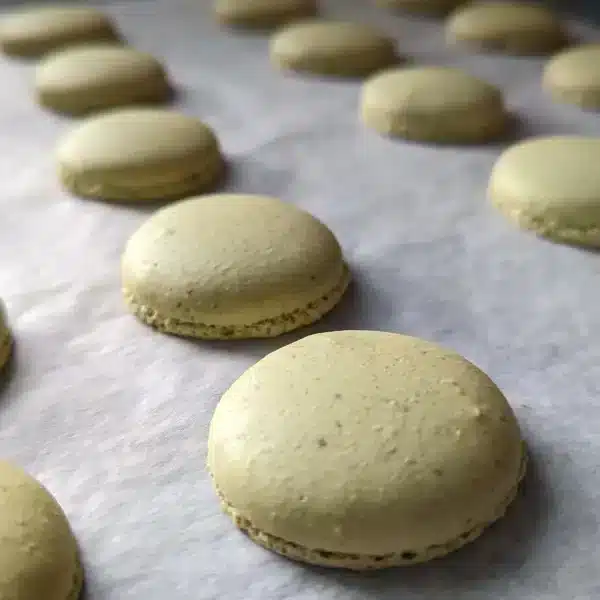 macarons macarons