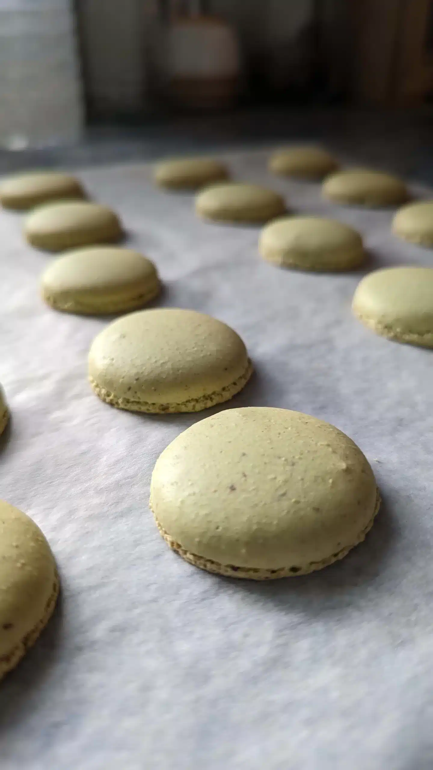 macarons macarons