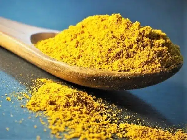 zoom sur le curry de madras