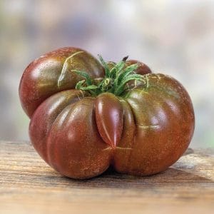 tomate noire de Crimée