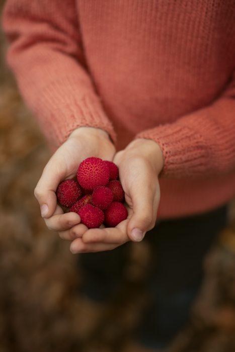 framboises framboises