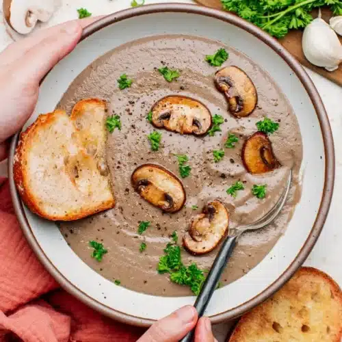 Velouté de champignons de Paris