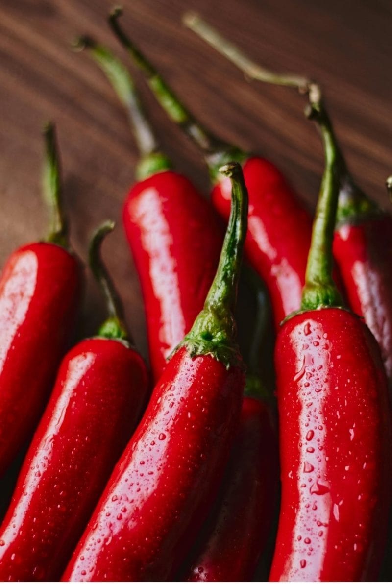 piments doux basques piments doux basques