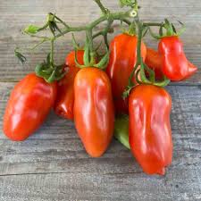 Tomates marzano Tomates marzano