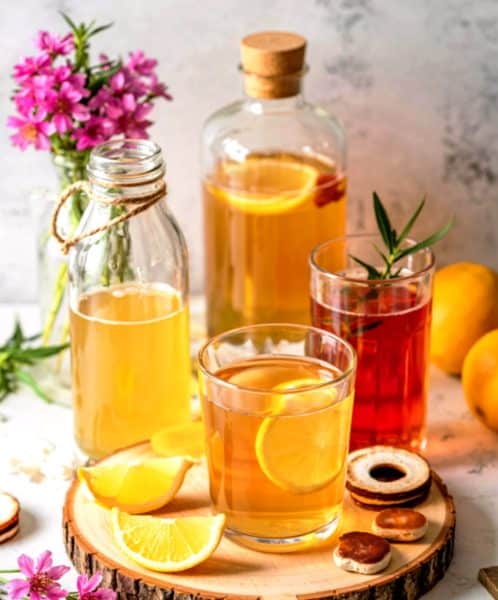 Kombucha Kombucha