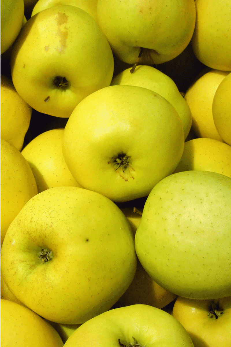 Pommes au four aux fruits secs 1 pommes canada grises