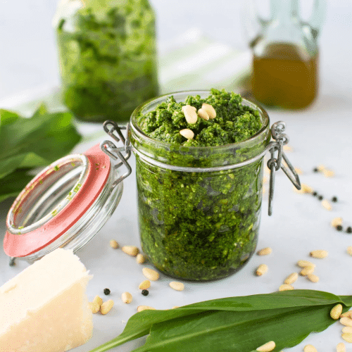 Pesto à l’ail des ours