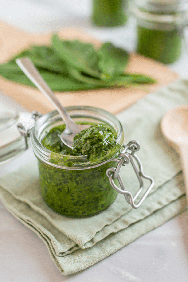 pesto ail des ours