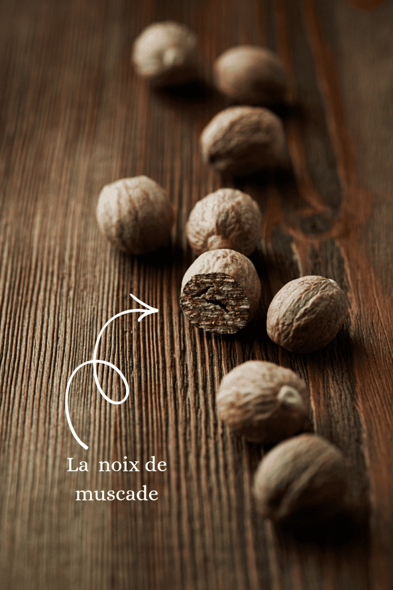 noix de muscade noix de muscade