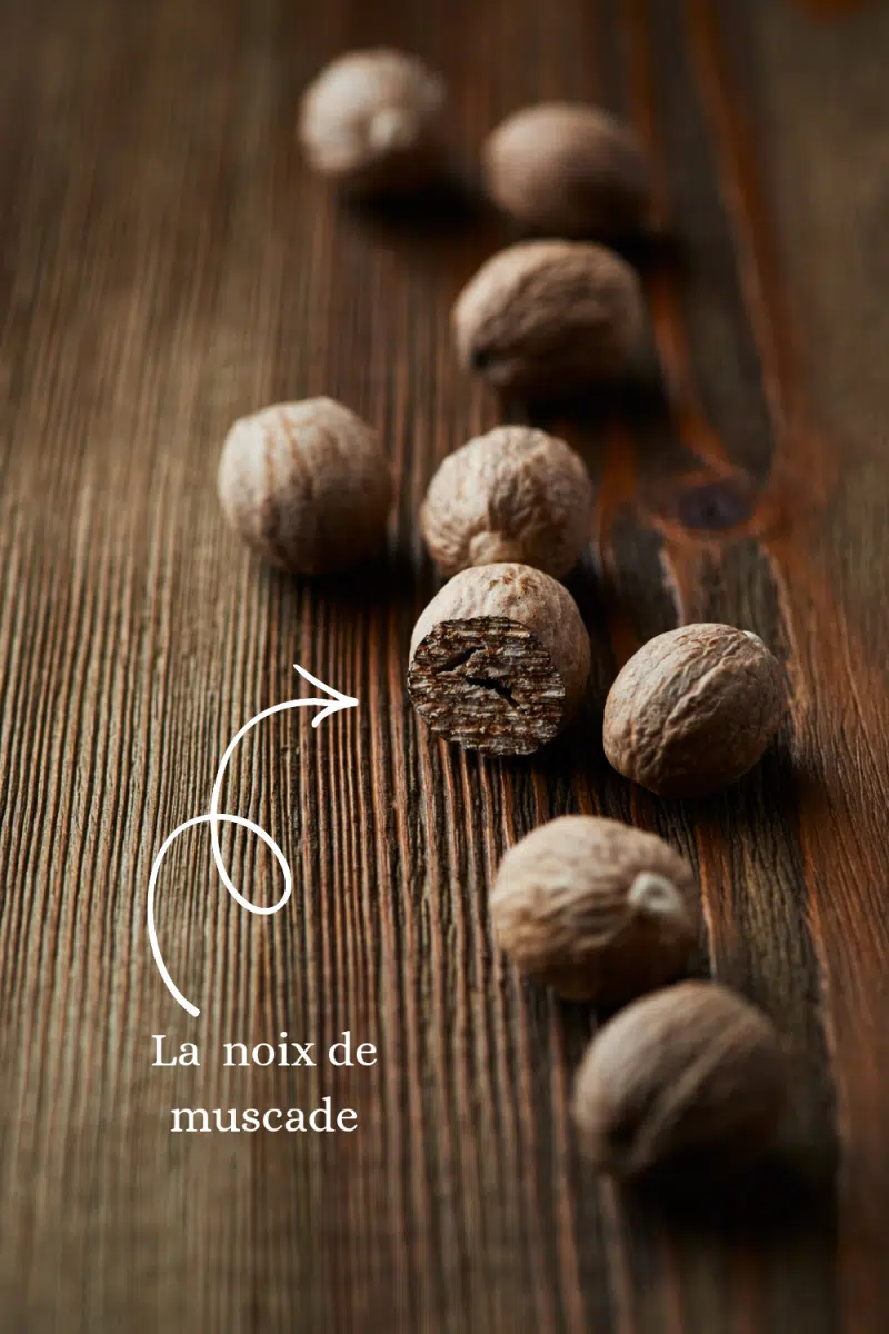 noix de muscade