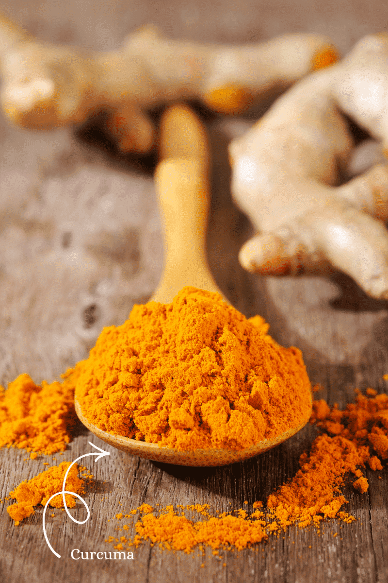 curcuma curcuma