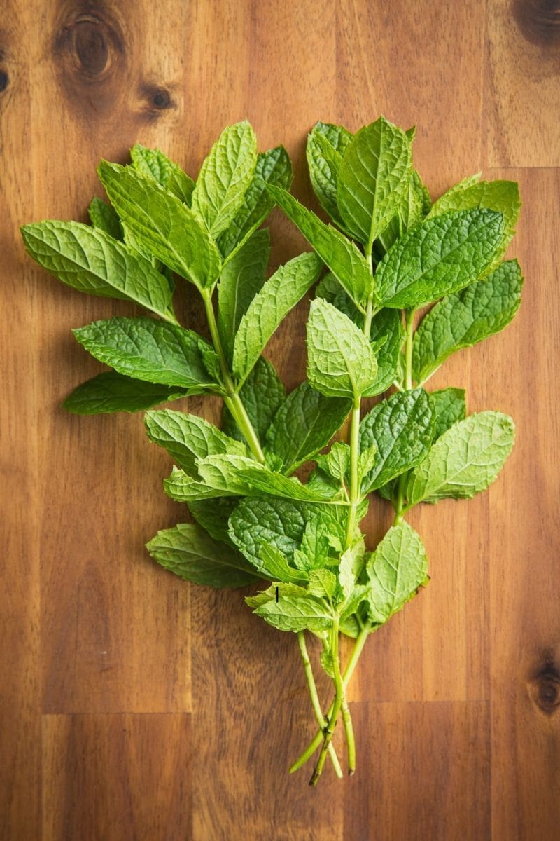 Bouquet de menthe