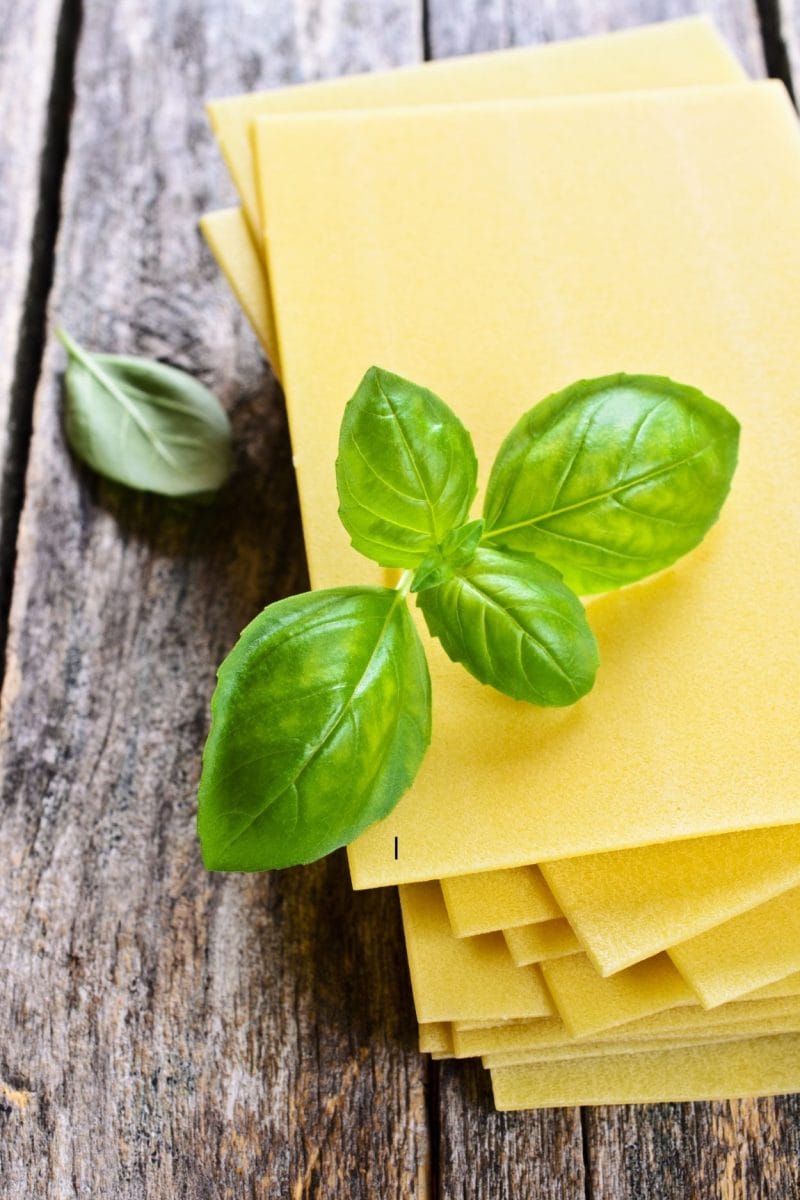 chèvre frais feuilles à lasagne