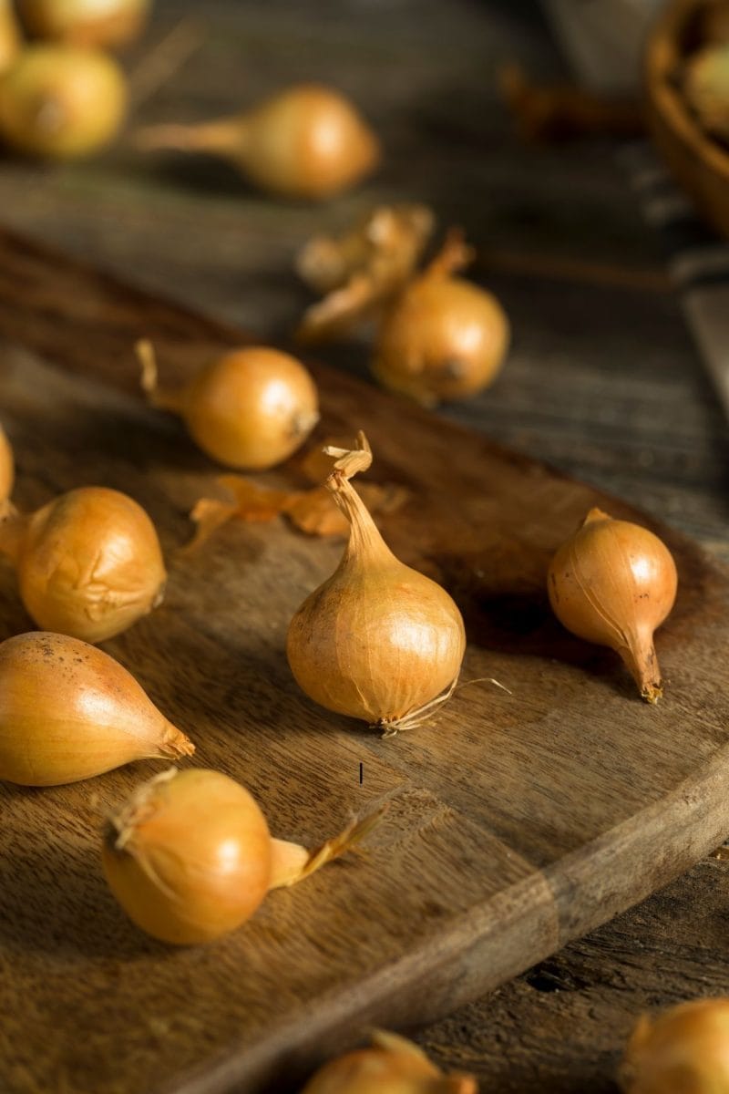 oignons grelots