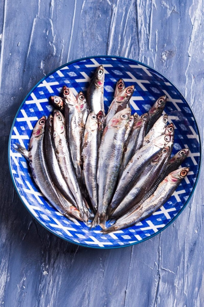 anchois anchois
