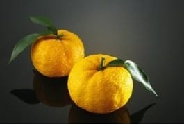 yuzu yuzu