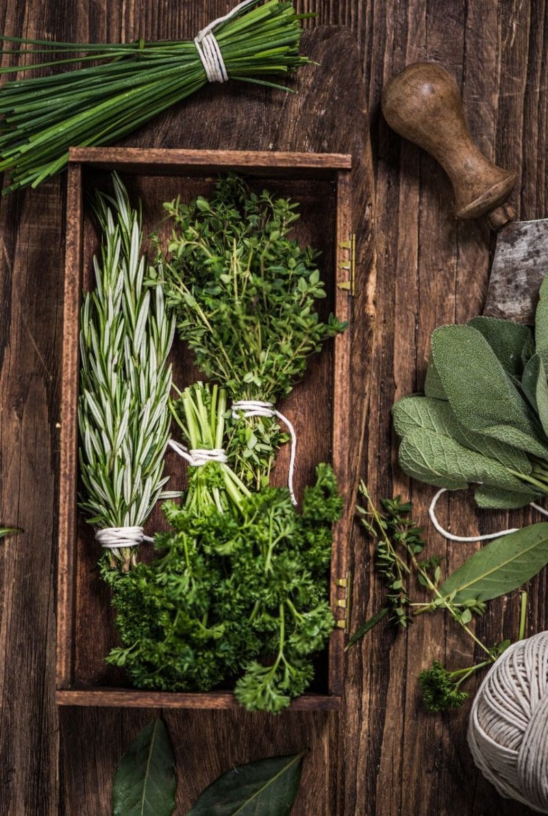 herbes aromatiques herbes aromatiques