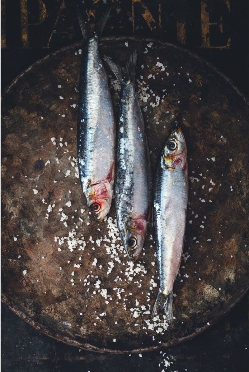 sardines sardines